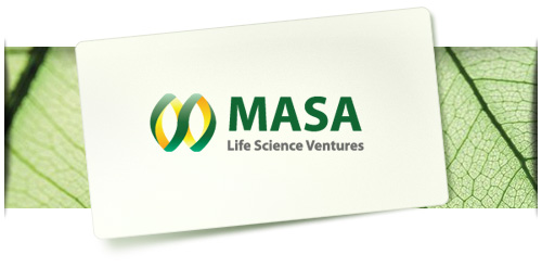 digitela web development studio